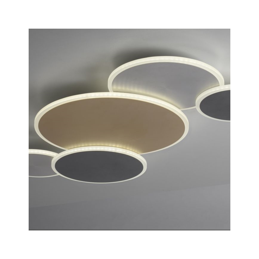 Paul Neuhaus 8008-70 - LED Stmievateľné stropné svietidlo Q-PIATO LED/49W/230V 2700-5000K Wi-Fi + diaľkové ovládanie