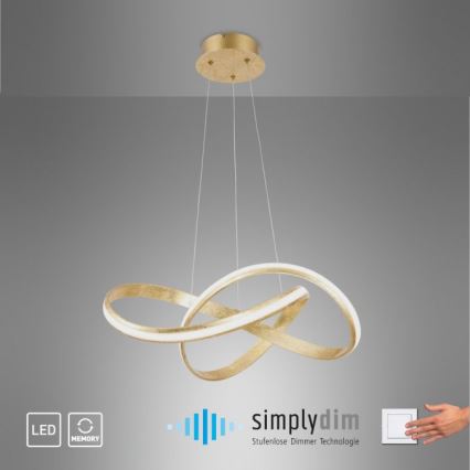 Paul Neuhaus 8291-12 - LED Stmievateľný luster na lanku MELINDA LED/30W/230V