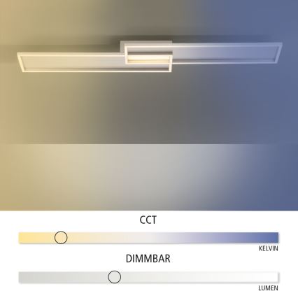 Paul Neuhaus 8371-55 - LED Stmievateľné stropné svietidlo AMARA LED/40W/230V + diaľkové ovládanie