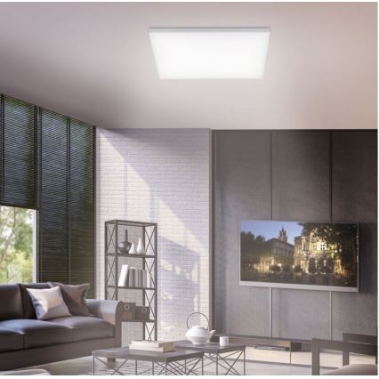 Paul Neuhaus 8492-16 - LED Stmievateľný prisadený panel FRAMELESS LED/35W/230V + diaľkové ovládanie