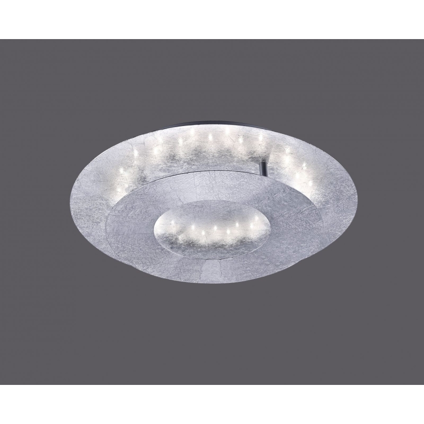 Paul Neuhaus 9011-21 - LED Stropné svietidlo NEVIS LED/6W/230V strieborná