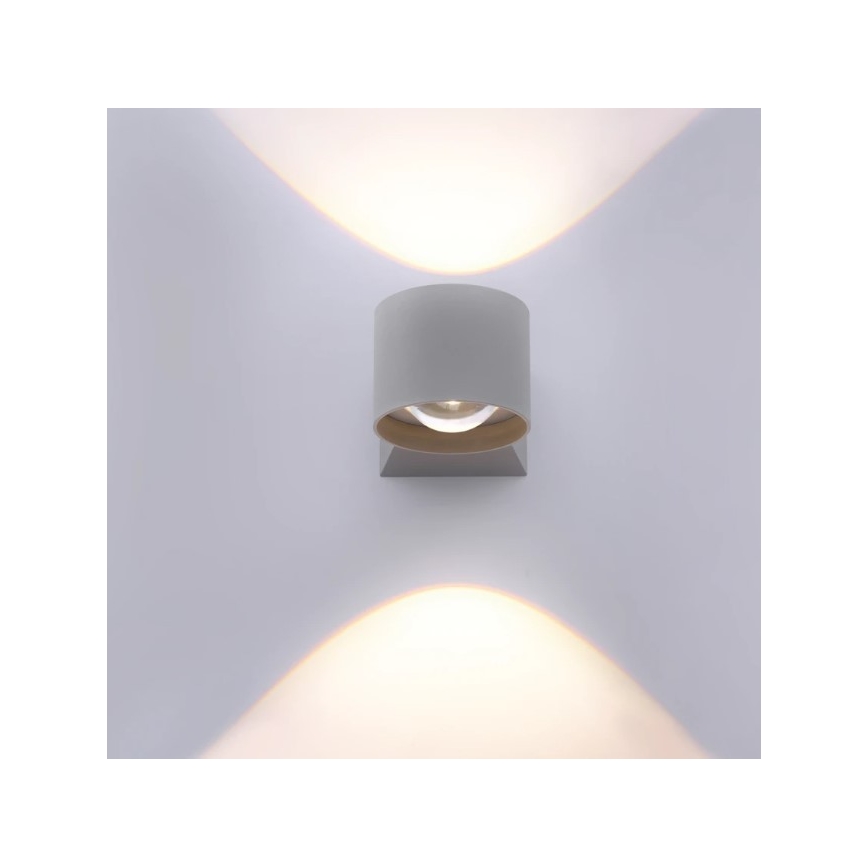 Paul Neuhaus 9441-21 - LED Vonkajšie nástenné svietidlo TIMO 2xLED/2W/230V IP54