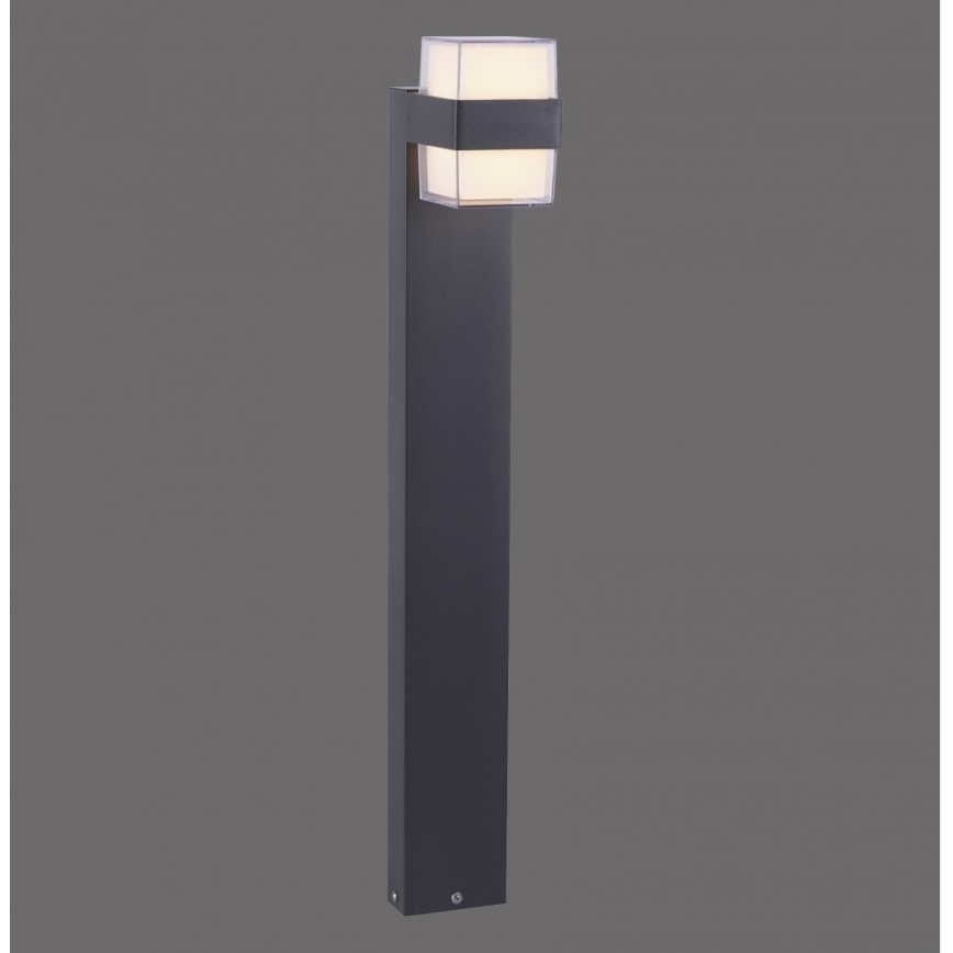 Paul Neuhaus 9481-13 - LED Vonkajšia lampa CARA LED/8W/230V IP44