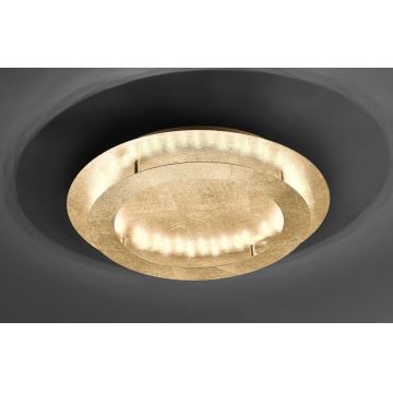 Paul Neuhaus 9621-12 - LED Stropné svietidlo NEVIS LED/24W/230V