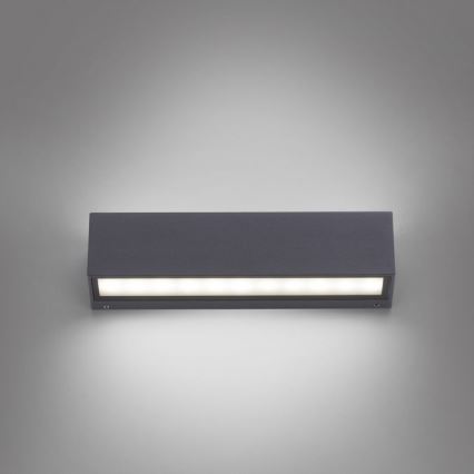 Paul Neuhaus 9675-13 - LED Vonkajšie nástenné svietidlo ROBERT 2xLED/9W/230V IP65