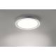 Paul Neuhaus 16480-17 - LED RGB Kúpeľňové stropné svietidlo DS-LARS LED/28W/230V IP44 + diaľkové ovládanie