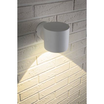 Paulmann 18007 - LED/5W IP44 Vonkajšie nástenné svietidlo FLAME 230V