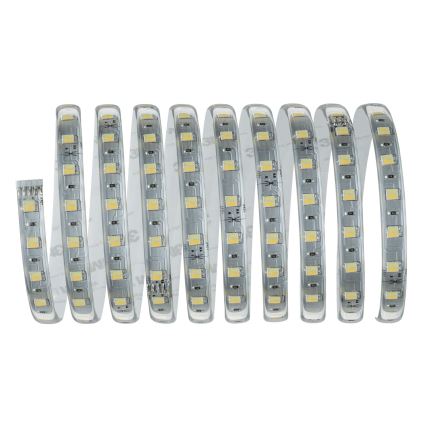 Paulmann 70624 - LED/20W Stmievateľný pásik MAXLED 3m 230V + diaľkové ovládanie