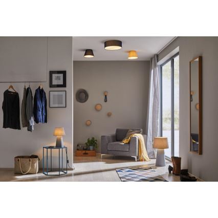 Paulmann 70949 - 1xE14/20W Stropné svietidlo MEA 230V