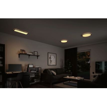Paulmann 70999 - LED/22W Stmievateľný panel ATRIA 230V 3000K pr. 42 cm čierna