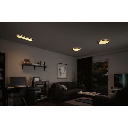 Paulmann 71003 - LED/22W Stmievateľný panel ATRIA 230V 3000K 20x58 cm čierna