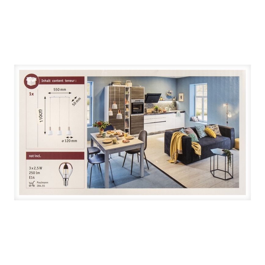 Paulmann 79657 - 3xE14/20W Luster na lanku NEORDIC HALDAR 230V