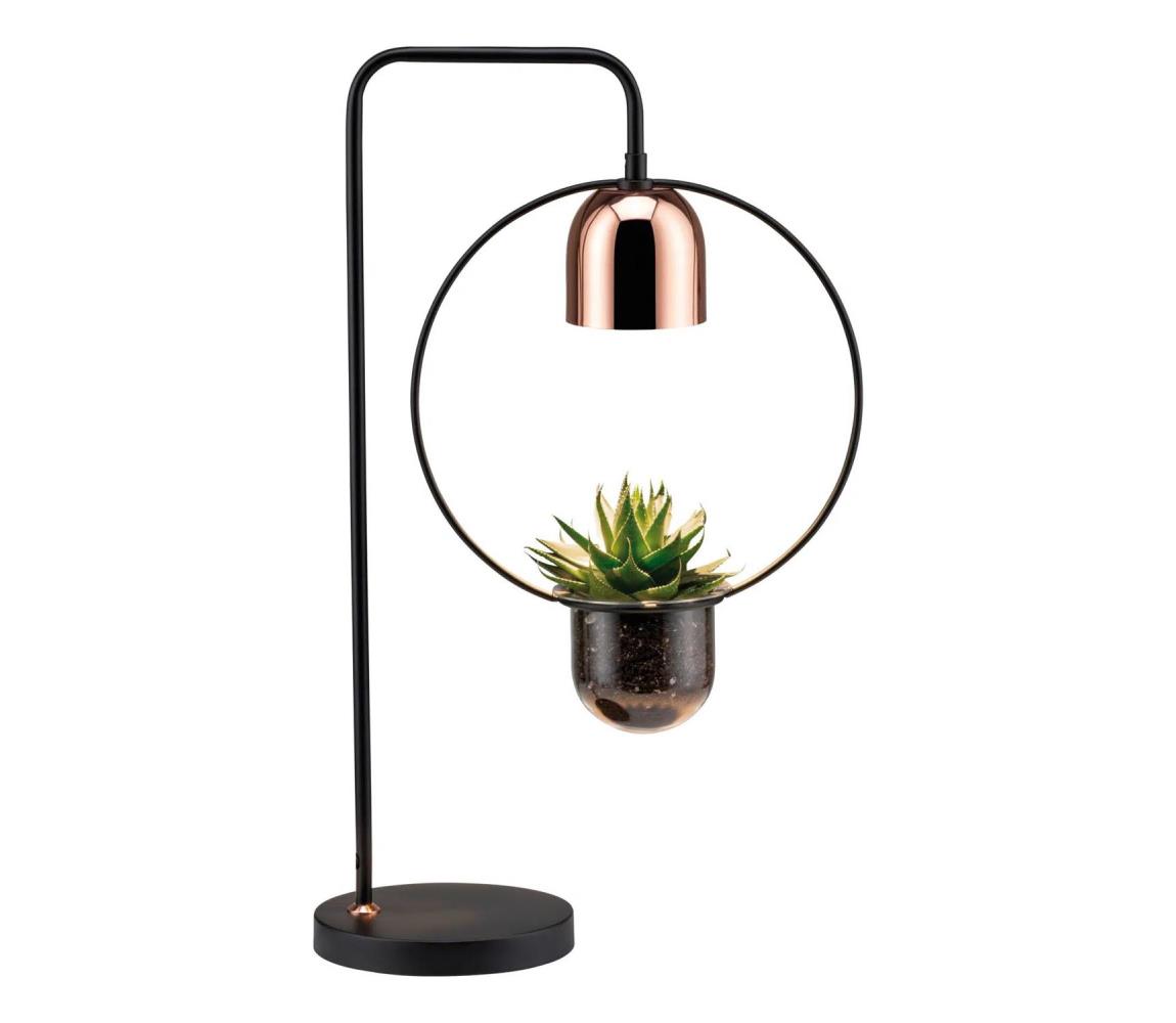 Paulmann 79746 - 1xGU10/20W Stolná lampa FANJA 230V dymová 79746