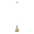 Paulmann 79750 - 1xE27/20W Luster na lanku NORDIN 230V