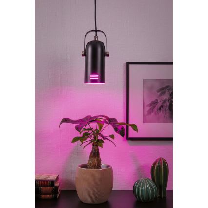 Paulmann 79766 - LED RGBW 1xE27/12W Luster na lankách LAVEA 230V čierny