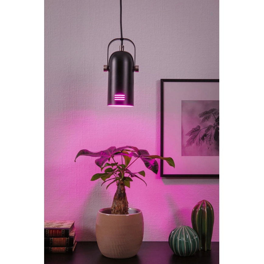 Paulmann 79766 - LED RGBW 1xE27/9W Luster na lankách LAVEA 230V čierny