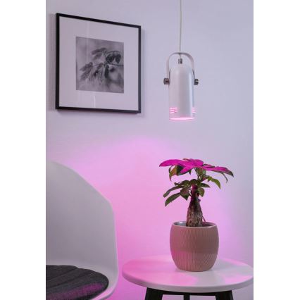 Paulmann 79767 - LED RGBW 1xE27/9W Závesný luster na lanku LAVEA 230V biela