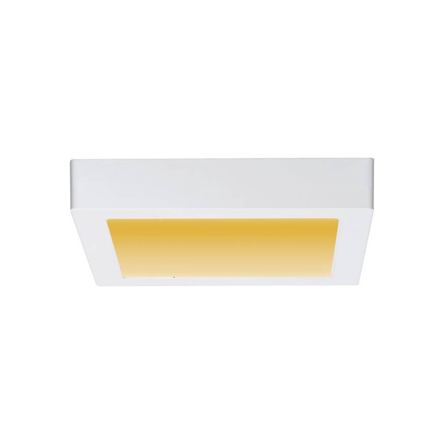 Paulmann 79796 - LED/13W Stropné svietidlo CARPO 230V 2300-3000K