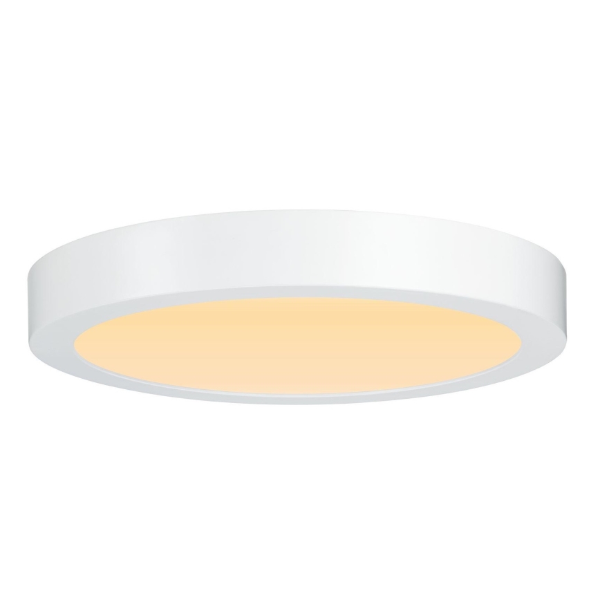 Paulmann 79799 - LED/19W Stropné svietidlo CARPO 230V 2300/2500/3000K