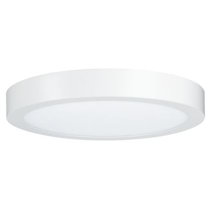 Paulmann 79799 - LED/19W Stropné svietidlo CARPO 230V 2300/2500/3000K