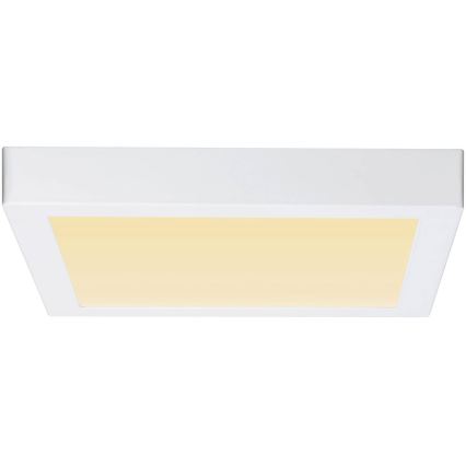 Paulmann 79801 - LED/13W Stropné svietidlo CARPO 230V 2300/2500/3000K