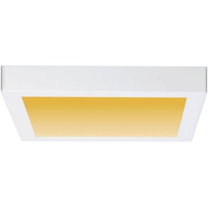 Paulmann 79801 - LED/13W Stropné svietidlo CARPO 230V 2300/2500/3000K