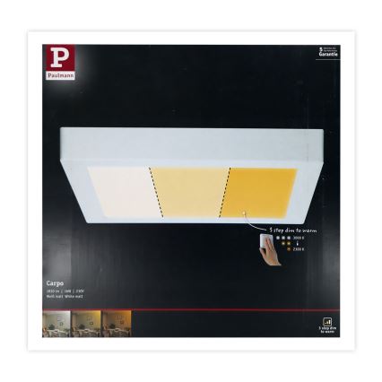 Paulmann 79801 - LED/13W Stropné svietidlo CARPO 230V 2300/2500/3000K