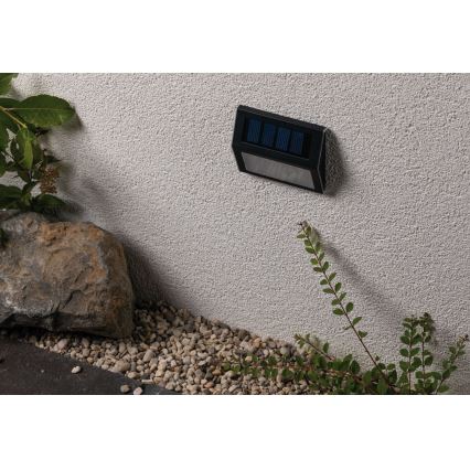 Paulmann 94234 - LED/0,05W IP44 Vonkajšie solárne svietidlo so senzorom DAYTON 1,2V 400 mAh