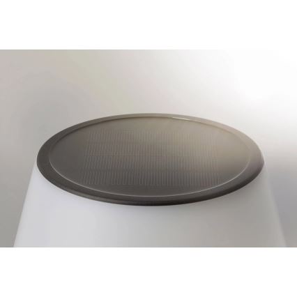 Paulmann 94309 - LED/0,8W IP44 Stmievateľná solárna lampa LILLESOL 3,7V 2000 mAh