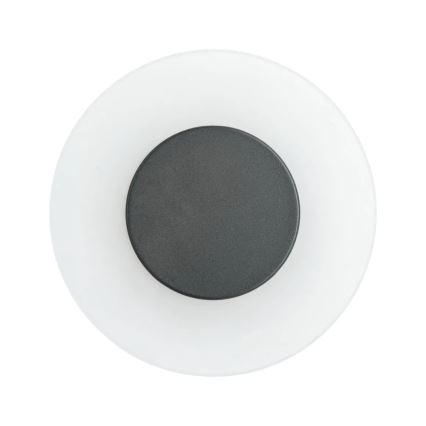 Paulmann 94409 - LED/4W IP44 Vonkajšie nástenné svietidlo CIRCEA 230V