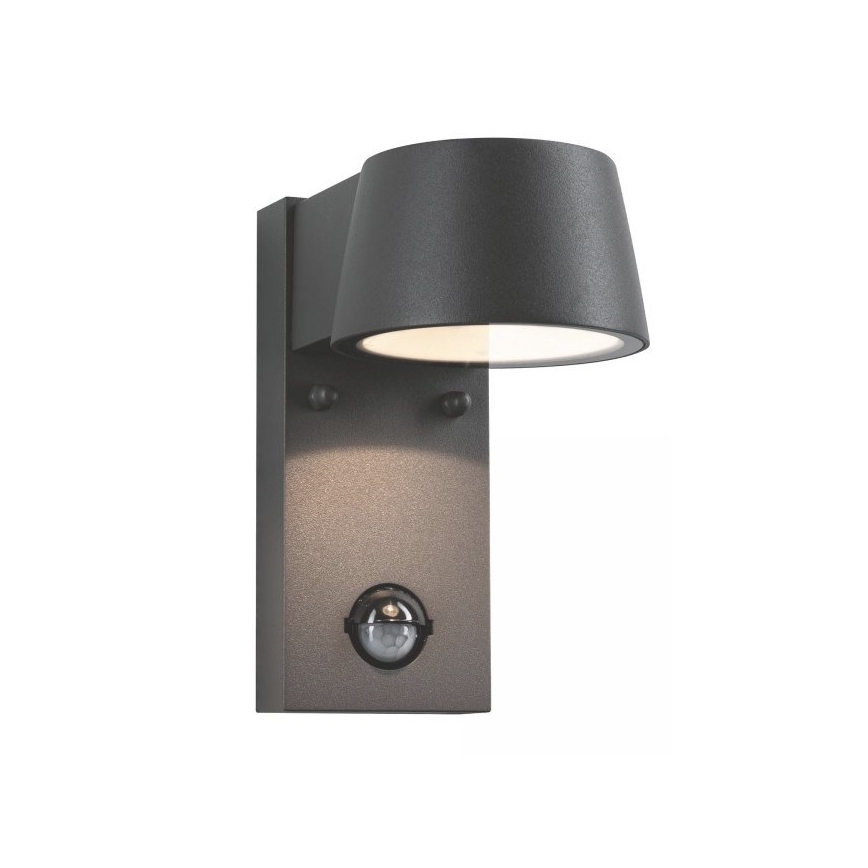 Paulmann 94453 - LED/6W IP44 Vonkajšie nástenné svietidlo so senzorom CAPEA 230V