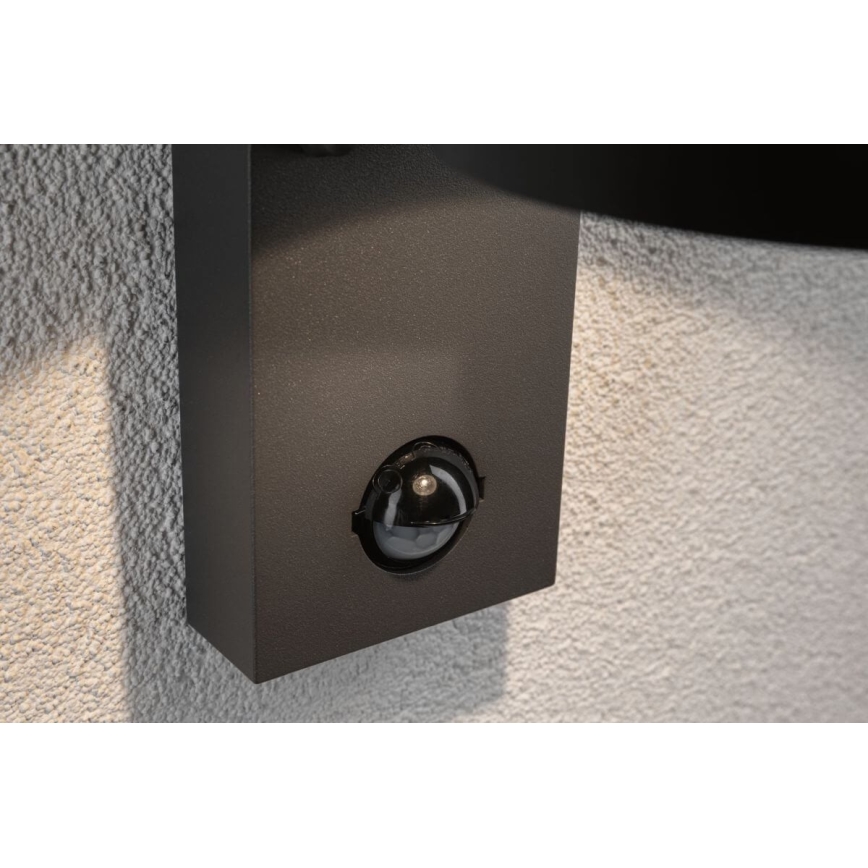 Paulmann 94453 - LED/6W IP44 Vonkajšie nástenné svietidlo so senzorom CAPEA 230V