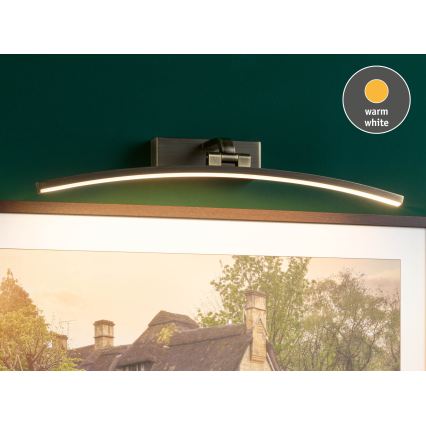 Paulmann 95561 - LED/10 W obrazové svietidlo BENTO 230 V 50 cm mosadz