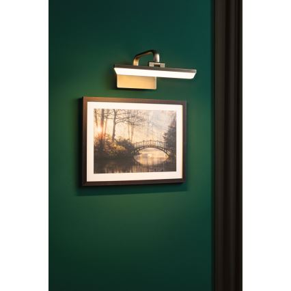 Paulmann 95568 - LED/6W Nástenné svietidlo na obrazy RENAN 230V 30 cm mosadz