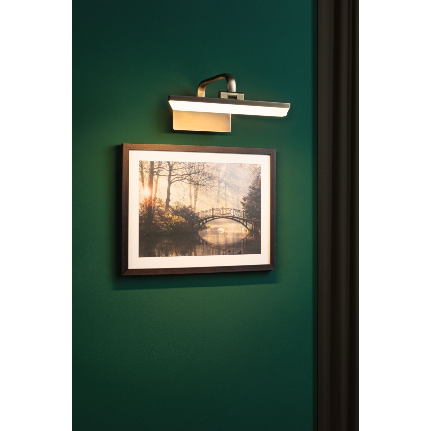 Paulmann 95568 - LED/6W Nástenné svietidlo na obrazy RENAN 230V 30 cm mosadz