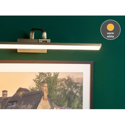 Paulmann 95570 - LED/11W Svietidlo na obrazy RENAN 230V 60 cm mosadz