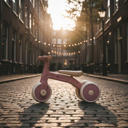 PETITE&MARS - Detská trojkolka 3 v 1 BINGO Dusty Rose