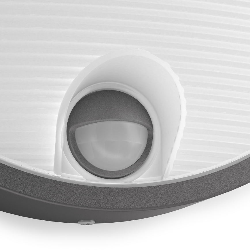 Philips 16456/93/16 - LED vonkajšie svietidlo s čidlom MYGARDEN CAPRICORN LED/6W/230V