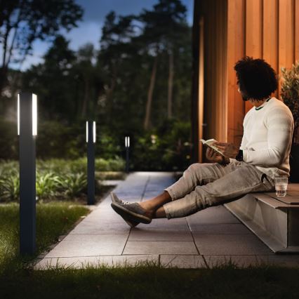 Philips 16489/93/P3 - Vonkajšie svietidlo MYGARDEN STRATOSPHERE 2xLED/4,5W