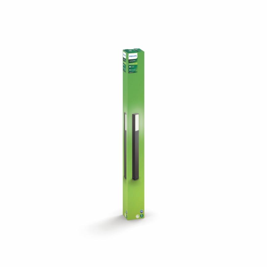 Philips - Vonkajšie stĺpikové svetlo 2xLED/4,5W IP44