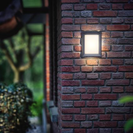 Svietidlo svieti na tehlovej stene. Svietidlo je štvorcové a zabudované do vonkajšej steny. Okolím je záhrada s kríkmi.