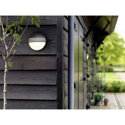 Philips 17296/30/16 - Vonkajšie nástenné svietidlo MYGARDEN YARROW 1xLED/6W/230V