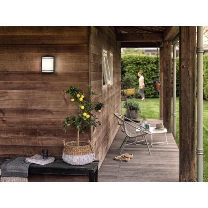 Vonkajší nástenný svietiaci objekt svieti na drevenej stene. Citrónovník v košíku stojí na drevenej terase pred domom. V pozadí je vidieť ženu s fúrikom.