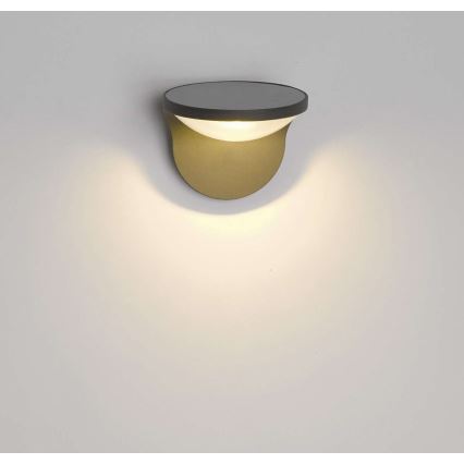 Philips 17807/93/16 - LED Solárne svetlo MYGARDEN DUSK 1xLED/1,5W
