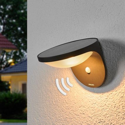 Philips 17808/93/16 - LED Solárne svetlo s čidlom MYGARDEN DUSK 1xLED/1W/3,7V