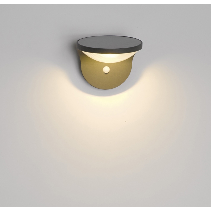 Philips 17808/93/16 - LED Solárne svetlo s čidlom MYGARDEN DUSK 1xLED/1W/3,7V