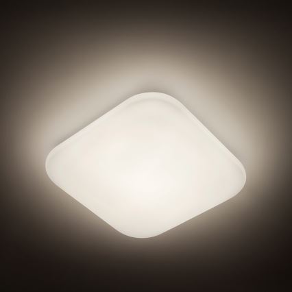 Philips - LED stropné svietidlo 1xLED/17W/230V 4000K