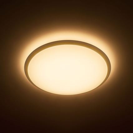 Philips - LED stropné svietidlo 1xLED/17W/230V