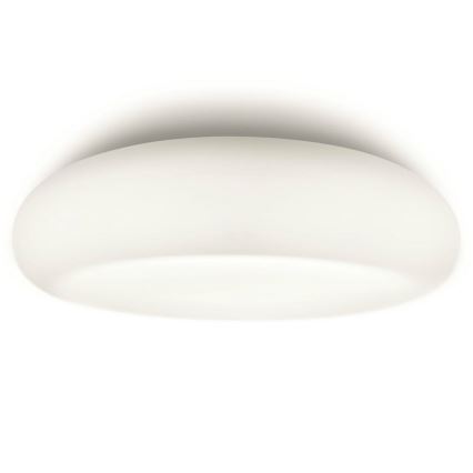 Philips 32067/31/16 - Kúpeľňové svietidlo MYBATHROOM MIST 2xE27/15W/230V