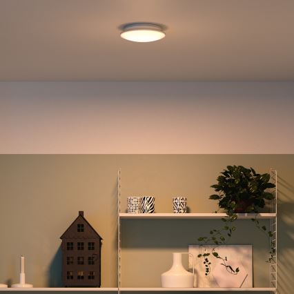 Philips 32096/31/P0 - Stropné svietidlo MYLIVING MAUVE 4xLED/2,5W/230V